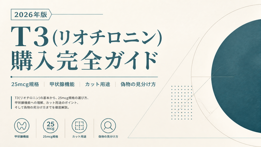 T3(リオチロニン)購入完全ガイド｜25mcg規格・甲状腺機能・カット用途・偽物見分け【2026年版】
