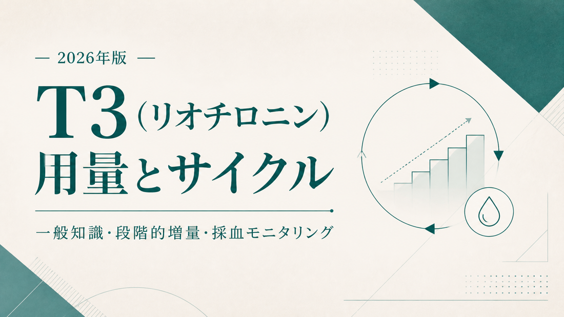 T3(リオチロニン)用量とサイクル｜一般知識・段階的増量・採血モニタリング【2026年版】
