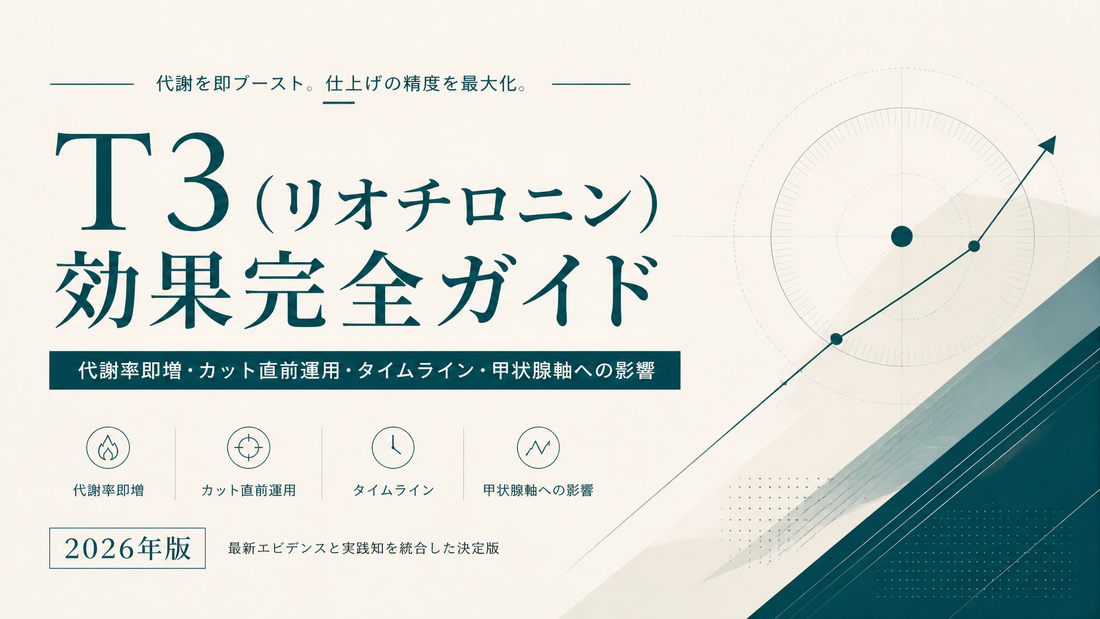 T3(リオチロニン)効果完全ガイド｜代謝率即増・カット直前運用・タイムライン・甲状腺軸への影響【2026年版】