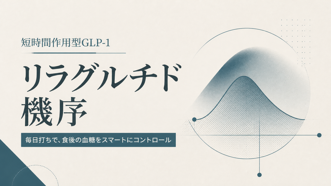 リラグルチド機序｜短時間作用型GLP-1の毎日打ち