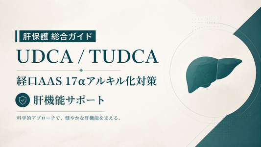 肝保護総合ガイド｜UDCA/TUDCA・経口AAS17αアルキル化対策・肝機能サポート