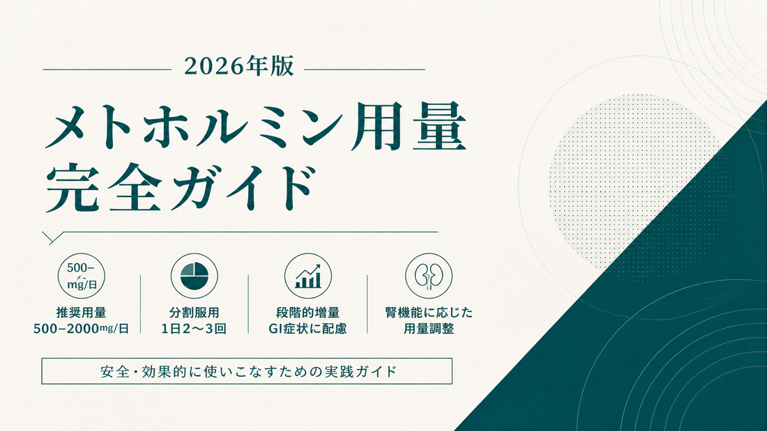 メトホルミン用量完全ガイド｜500-2000mg/日・分割服用・段階的増量・腎機能補正【2026年版】