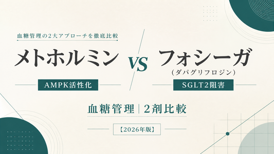 メトホルミン vs フォシーガ(ダパグリフロジン)｜AMPK活性化vsSGLT2阻害・血糖管理2剤比較【2026年版】