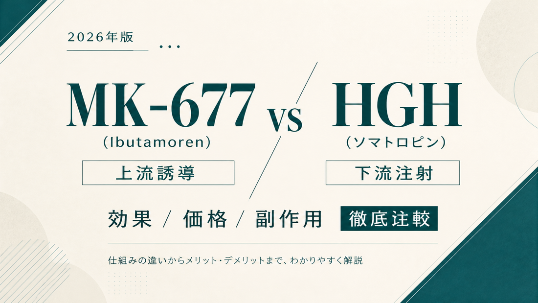 MK-677(Ibutamoren)vs HGH(ソマトロピン)｜上流誘導 vs 下流注射・効果/価格/副作用徹底比較【2026年版】