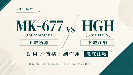 MK-677(Ibutamoren)vs HGH(ソマトロピン)｜上流誘導 vs 下流注射・効果/価格/副作用徹底比較【2026年版】