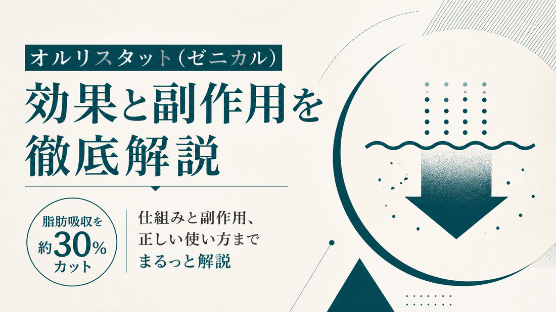 オルリスタット(ゼニカル)の効果と副作用を徹底解説｜脂肪吸収を約30%カットする仕組みと正しい使い方