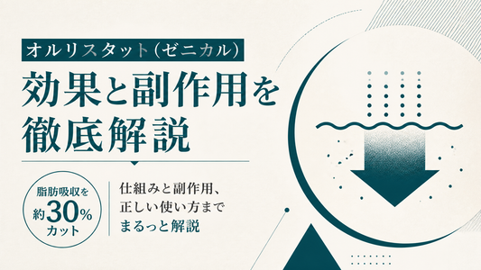 オルリスタット(ゼニカル)の効果と副作用を徹底解説｜脂肪吸収を約30%カットする仕組みと正しい使い方