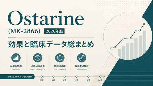 Ostarine(MK-2866)の効果｜筋量・体組成・関節保護・骨密度の臨床データとタイムライン【2026年版】