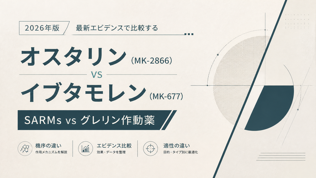 オスタリン(MK-2866) vs イブタモレン(MK-677)｜SARMs vs グレリン作動薬・機序差・適性差【2026年版】