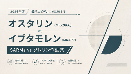オスタリン(MK-2866) vs イブタモレン(MK-677)｜SARMs vs グレリン作動薬・機序差・適性差【2026年版】