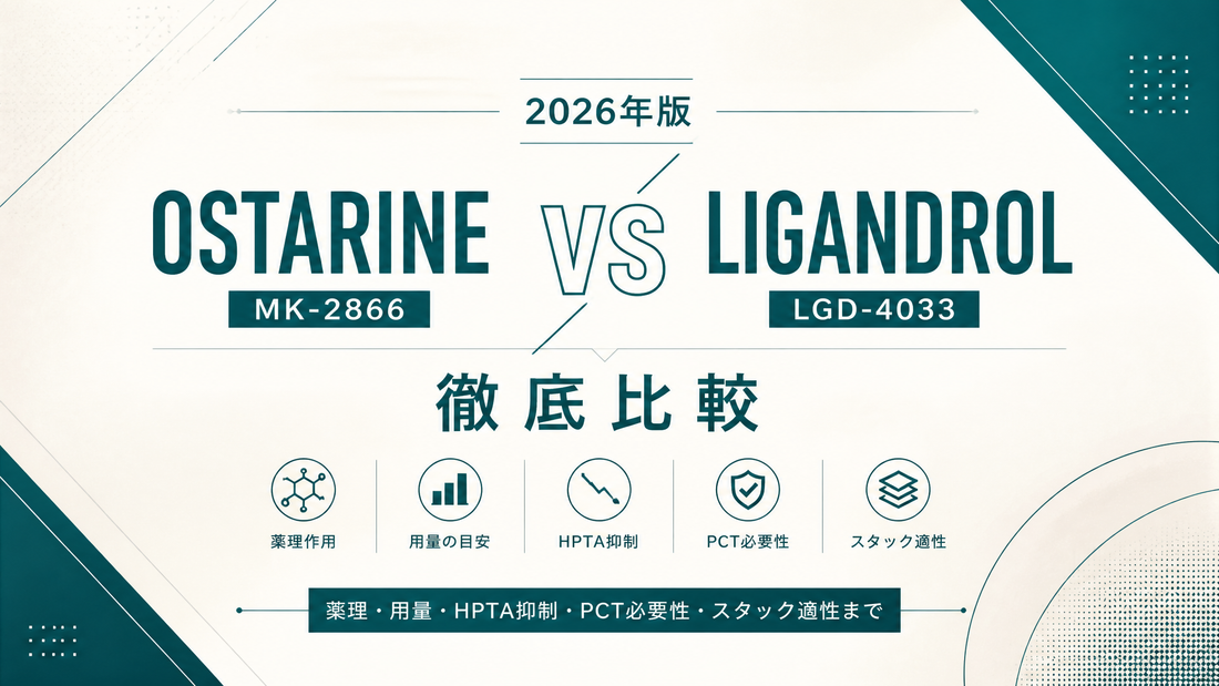Ostarine vs LGD-4033(リガンドロール)徹底比較｜LBM・用量・PCT・スタック適性・初心者選択【2026年版】