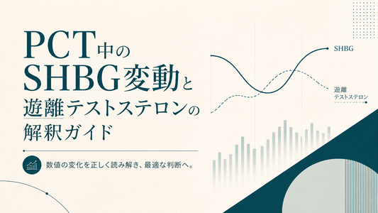 PCT中のSHBG変動と遊離テストステロンの解釈ガイド