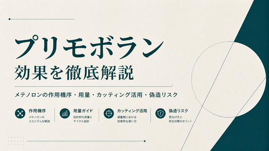 プリモボラン 効果を徹底解説｜メテノロンの作用機序・用量・カッティング活用と偽造リスク