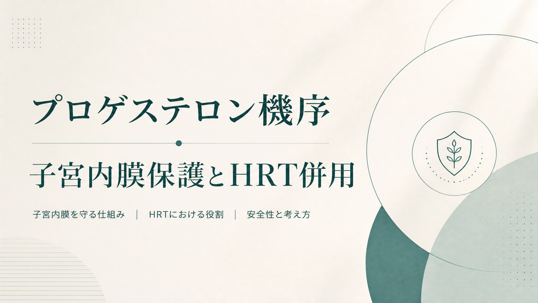 プロゲステロン機序｜子宮内膜保護とHRT併用