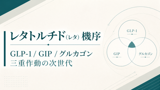 レタトルチド(レタ)機序｜GLP-1/GIP/グルカゴン三重作動の次世代