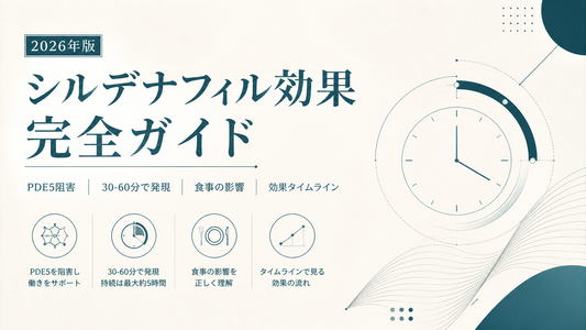 シルデナフィル効果完全ガイド｜PDE5阻害・30-60分発現・食事影響・タイムライン【2026年版】