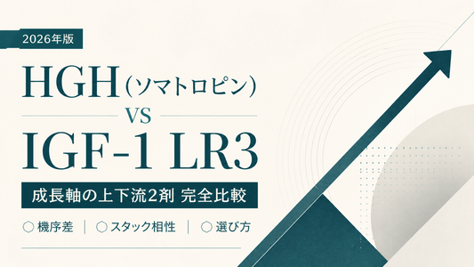 HGH(ソマトロピン) vs IGF-1 LR3｜成長軸の上下流2剤完全比較・機序差・スタック相性・選び方【2026年版】