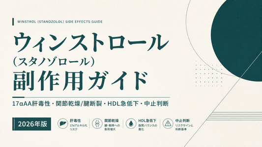 ウィンストロール(スタノゾロール)副作用ガイド｜17αAA肝毒性・関節乾燥/腱断裂・HDL急低下・中止判断【2026年版】