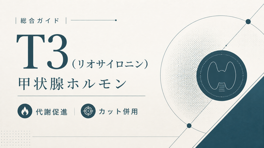 T3(リオサイロニン)総合ガイド｜甲状腺ホルモン・代謝促進・カット併用