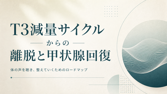 T3減量サイクルからの離脱と甲状腺回復