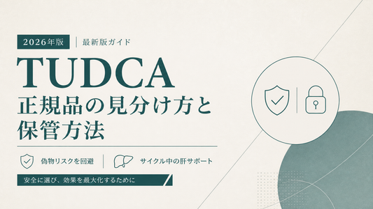 TUDCA正規品の見分け方と保管方法｜偽物リスク・サイクル中肝サポート【2026年版】