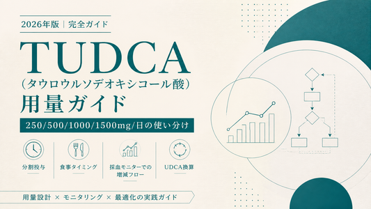 TUDCA(タウロウルソデオキシコール酸)用量ガイド｜250〜1500mg目的別レンジ・食事タイミング・採血で調整【2026年版】