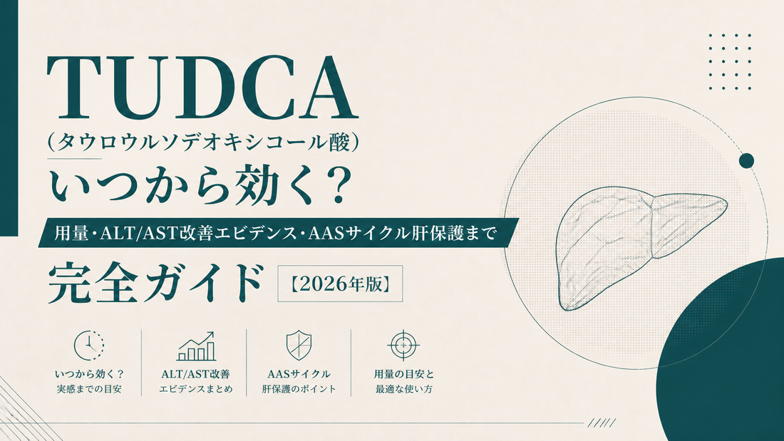 TUDCA(タウロウルソデオキシコール酸)はいつから効く？効果・用量・AAS肝保護エビデンス【2026年版】