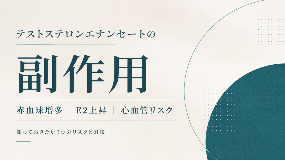 テストステロン・エナンセート(Test E)副作用ガイド｜HPTA/E2/多血症/心血管・採血項目と中止判断【2026年版】