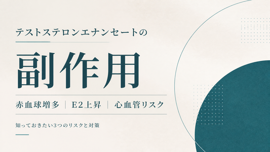 テストステロン・エナンセート(Test E)副作用ガイド｜HPTA/E2/多血症/心血管・採血項目と中止判断【2026年版】