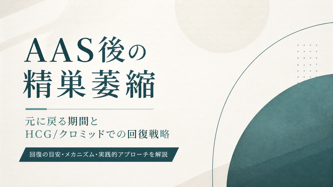 AAS後の精巣萎縮｜元に戻る期間とHCG/クロミッドでの回復戦略