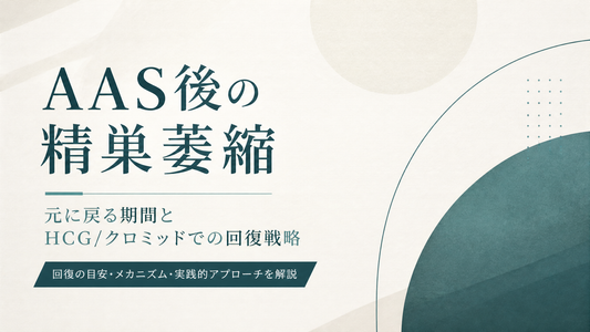 AAS後の精巣萎縮｜元に戻る期間とHCG/クロミッドでの回復戦略