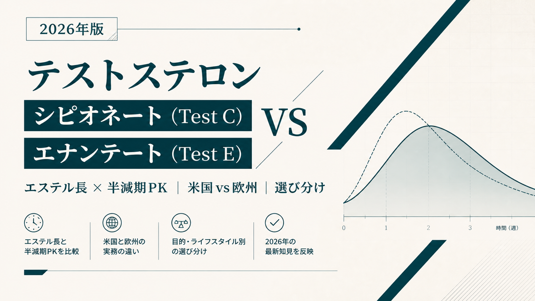 テストステロン・シピオネート(Test C) vs エナンテート(Test E)｜エステル長半減期PK・米国vs欧州・選び分け【2026年版】