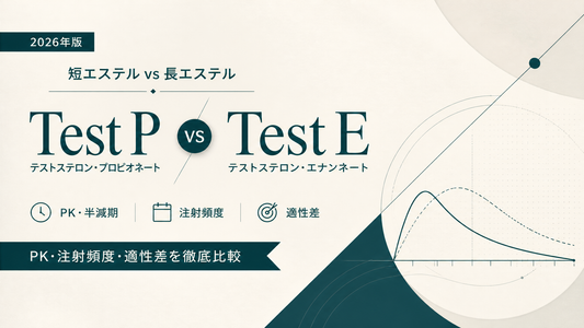 テストステロン・プロピオネート(Test P) vs エナンテート(Test E)｜短エステルvs長エステル・PK・注射頻度・適性差【2026年版】