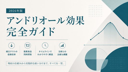 アンドリオール効果完全ガイド｜経口テストの低吸収率・脂質食品同時摂取・タイムライン・注射との比較【2026年版】