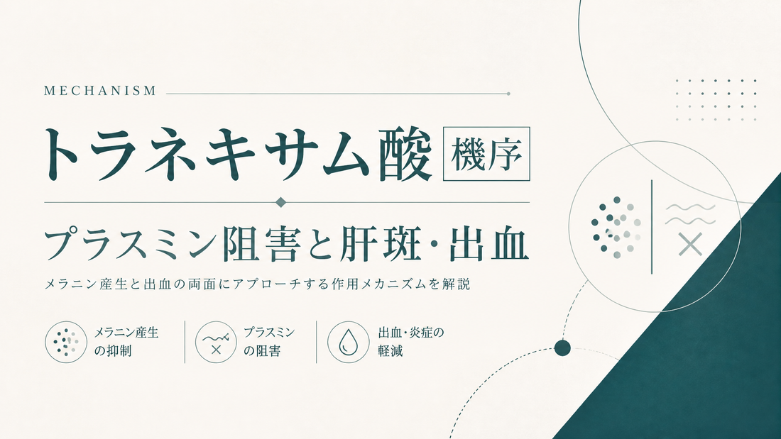 トラネキサム酸機序｜プラスミン阻害と肝斑/出血