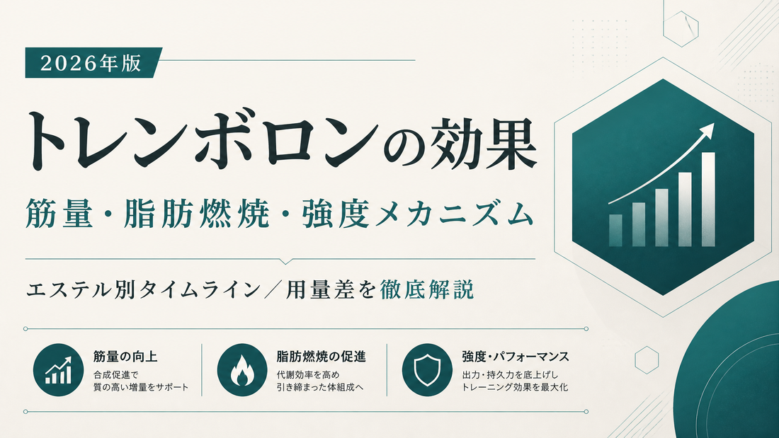 トレンボロンの効果｜筋量・脂肪燃焼・強度メカニズム/エステル別タイムライン/用量差【2026年版】