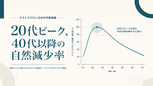 テストステロン分泌の年齢曲線｜20代ピーク・40代以降の自然減少率