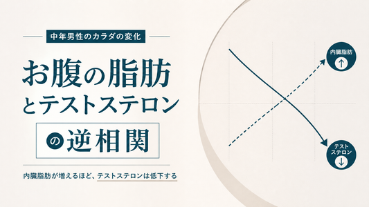 お腹が出てきた中年男性｜内臓脂肪とテストステロンの逆相関
