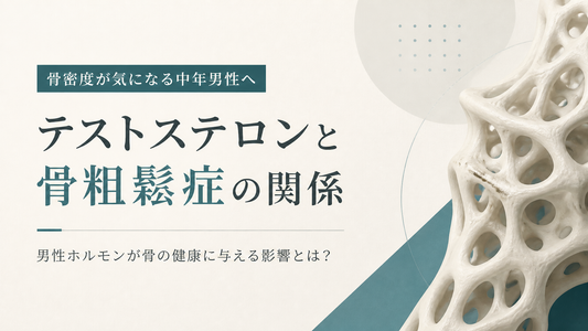骨密度が気になる中年男性｜テストステロンと骨粗鬆症の関係