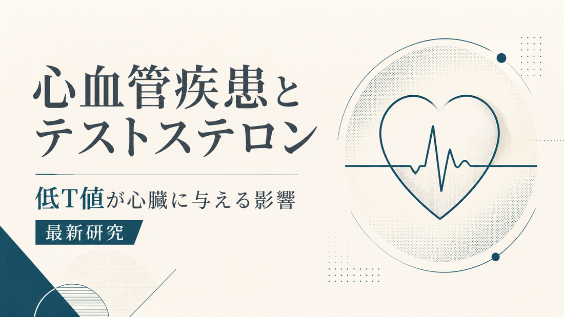 心血管疾患とテストステロン｜低T値が心臓に与える影響の最新研究
