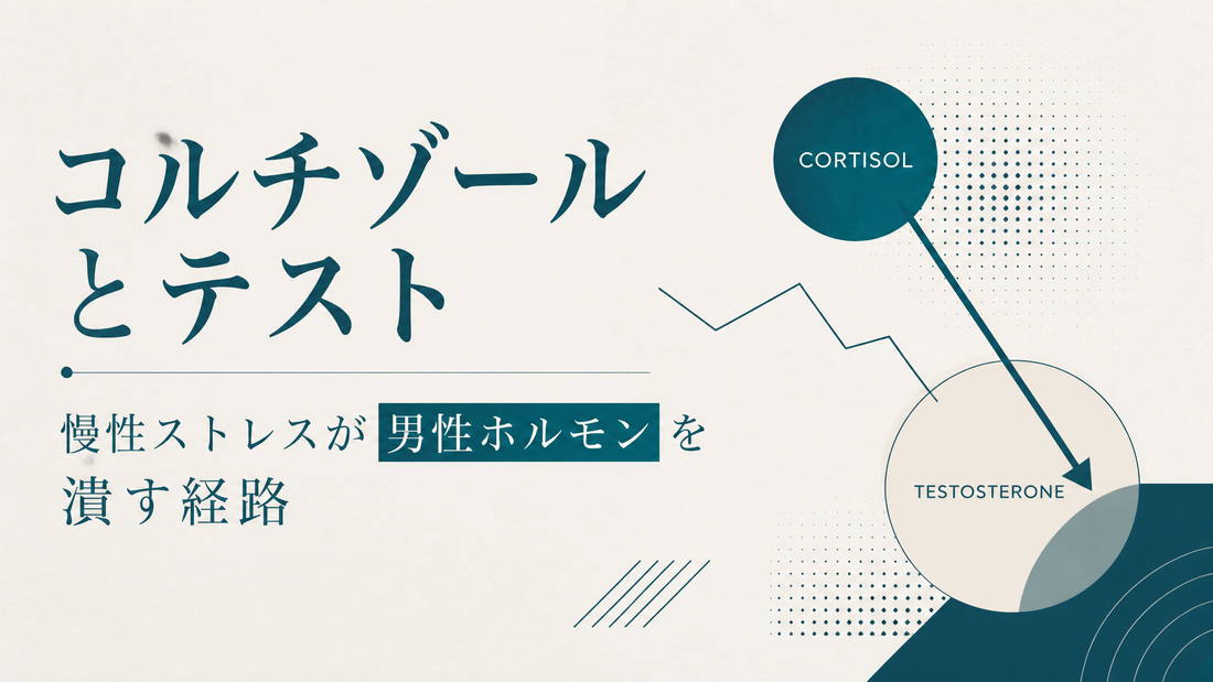 コルチゾールとテスト｜慢性ストレスが男性ホルモンを潰す経路
