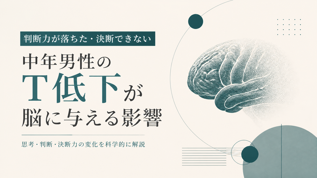 判断力が落ちた・決断できない｜中年男性のT低下が脳に与える影響