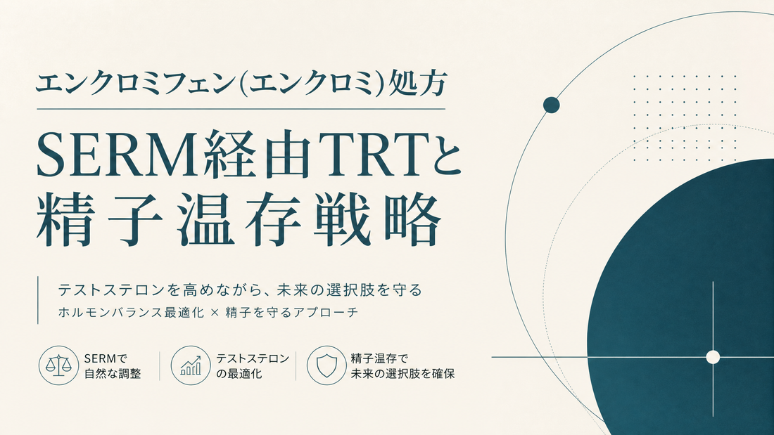 エンクロミフェン(エンクロミ)処方｜SERM経由TRTと精子温存戦略