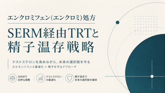 エンクロミフェン(エンクロミ)処方｜SERM経由TRTと精子温存戦略