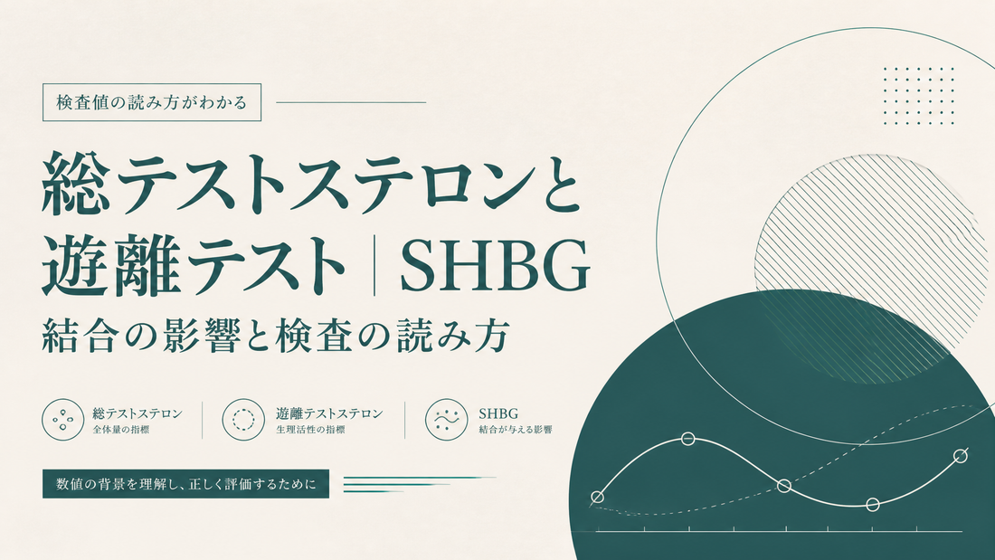 総テストステロンと遊離テスト｜SHBG結合の影響と検査の読み方