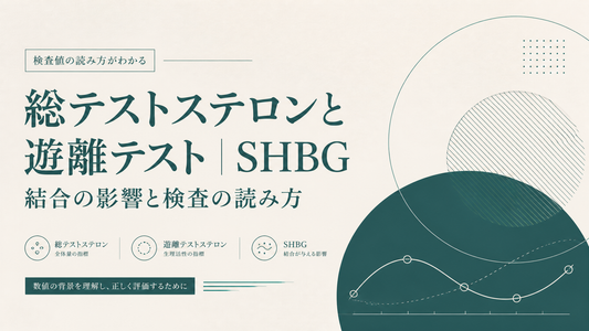 総テストステロンと遊離テスト｜SHBG結合の影響と検査の読み方