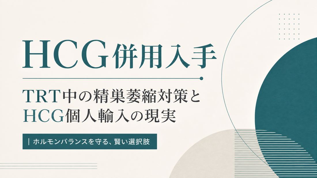 HCG併用入手｜TRT中の精巣萎縮対策とHCG個人輸入の現実