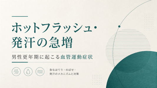 ホットフラッシュ・発汗の急増｜男性更年期に起こる血管運動症状