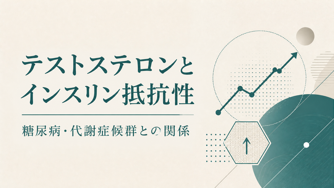 テストステロンとインスリン抵抗性｜糖尿病・代謝症候群との関係