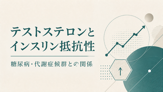 テストステロンとインスリン抵抗性｜糖尿病・代謝症候群との関係